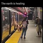 The Earth Is Healing