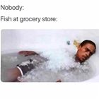 The Grocery Store