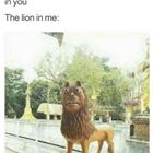 The Lion