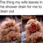 The Shower Drain