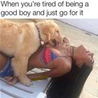 Tired Of This Good Boy Stuff