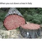 Trees In Italy