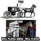 Well Played Horse