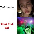 When The Cat Is Lost