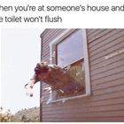 Wont Flush