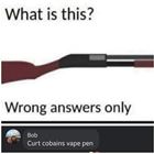 Wrong Answers Only