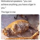 You Are A Tiger